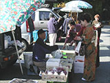 Yugawara Onsen Sunday Sightseeing Morning Market