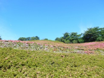 さつきの郷