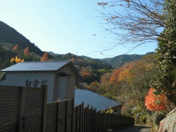 山登りいかがでしょうか。