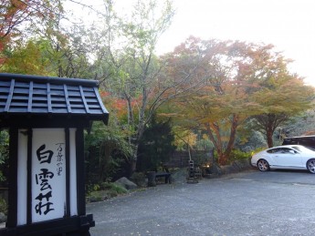 紅葉