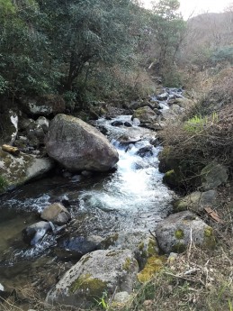 千歳川