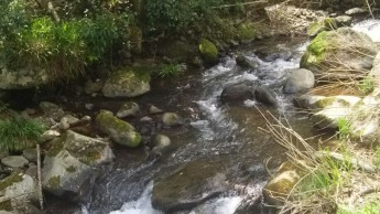 渓流