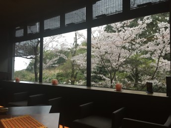 レストランからの風景