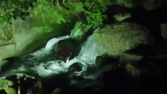 川面をライトアップしています