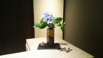 色鮮やかな紫陽花