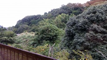 当館客室からの展望です！