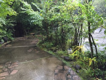 今日は大雨です☂