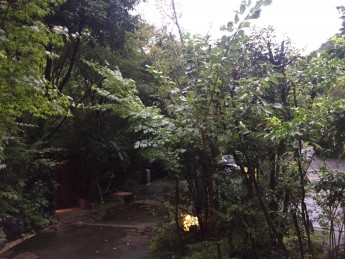 雨です