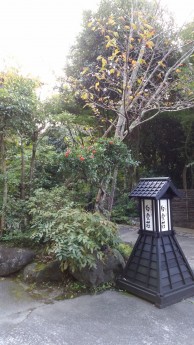 休館日のお知らせ　１０月３１日