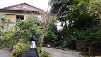 今日は曇りです！