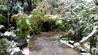 本日、初雪でした。