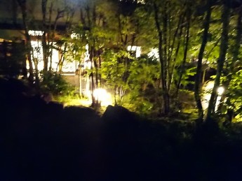 今年1年のご愛顧に感謝申し上げます！
