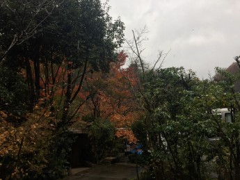 湯河原は雨です😢