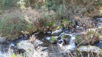 当館、目の前を流れる千歳川です！