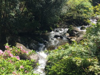川のせせらぎ