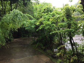 湯河原は雨です☔