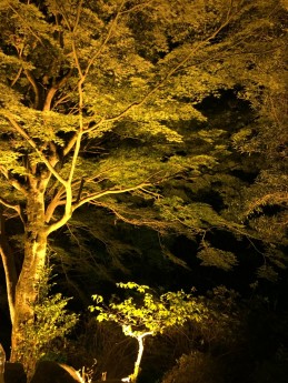 夜の白雲荘