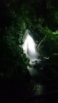 蛍の宴の楽しみ　in湯河原