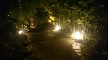 久々の涼しい夜