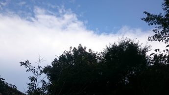 秋晴れ