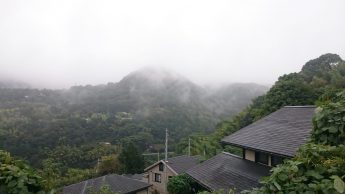霞山
