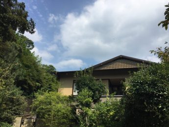 穏やかな日です♬