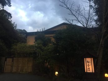 肌寒いです♬