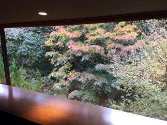 ロビーからの紅葉