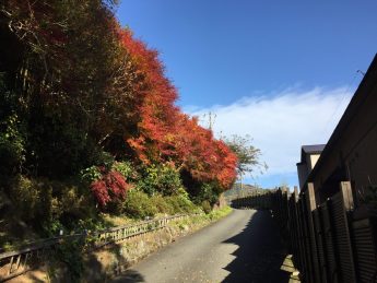 白雲荘入口♬