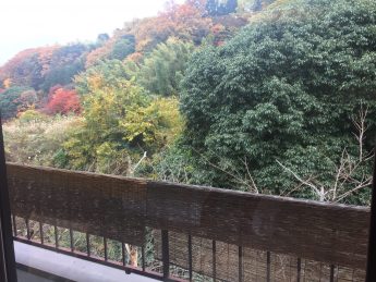 川側Aタイプからの眺望(^^♪