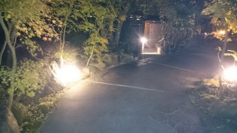 夜の玄関