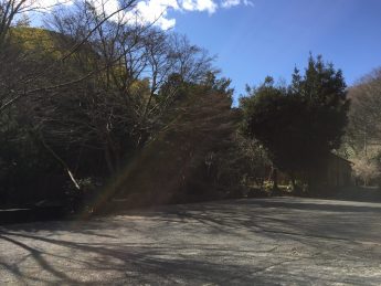 天気良いです♫