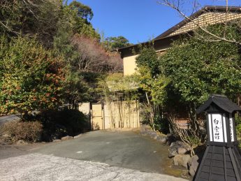 ポカポカ陽気♪