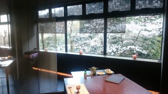 レストランからの風景（桜）