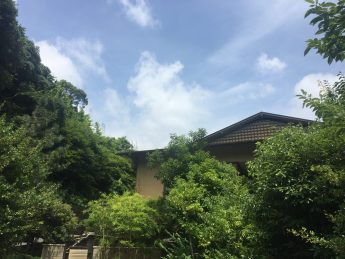 今日は晴れ(^^♪