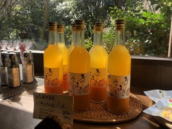 湯河原のオレンジジュース(^^♪