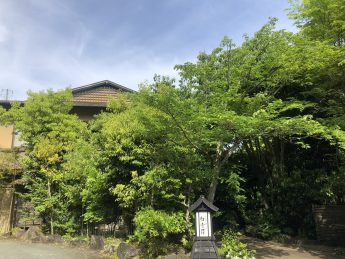 暑いですね(^^♪