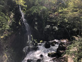 万葉公園