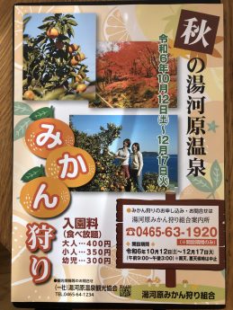 みかん狩りのご案内